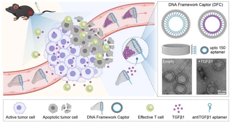 DNA Trash Cans: Outsmarting Tumor Signals with Origami Tech!