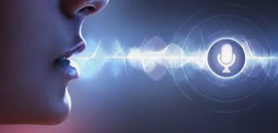 Issue 8: Echoes of Innovation