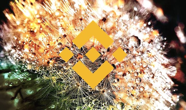 Binance CEO Says Cryptocurrency BNB ‘Probably Has More Use Cases Than Most Other Coins’