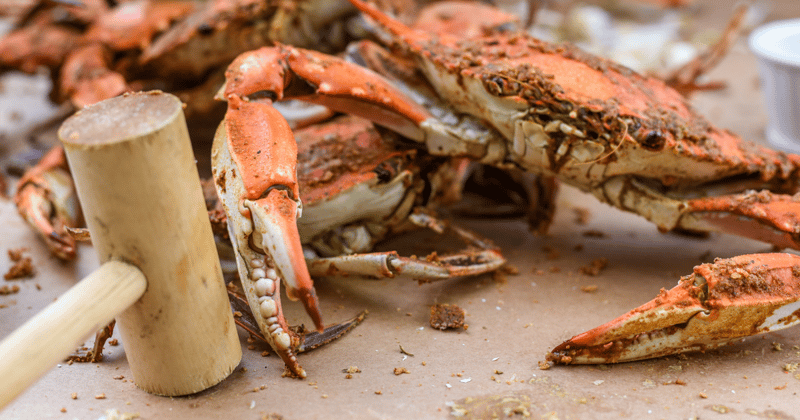 🦀 Crab Fest 2025