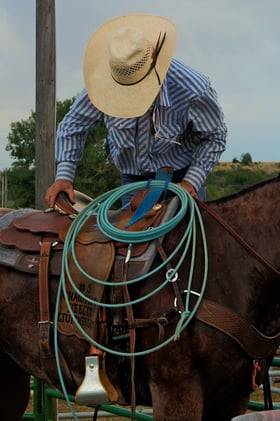 Your body holds the wisdom