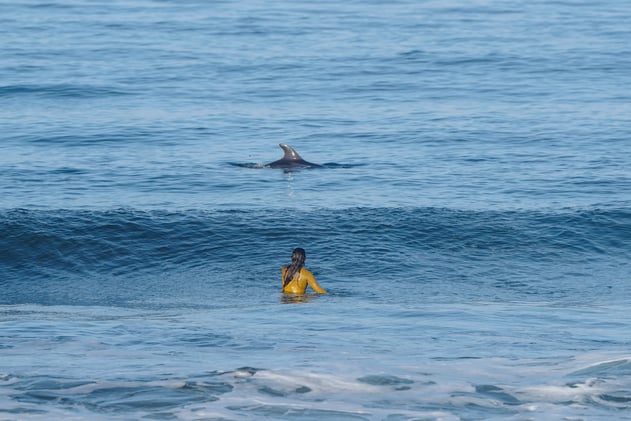 So Much Happening Before the Turkey Hits the Table