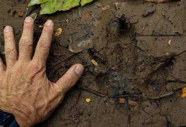 ✨🌈🪐 Videos & News Today • November 21, 2025