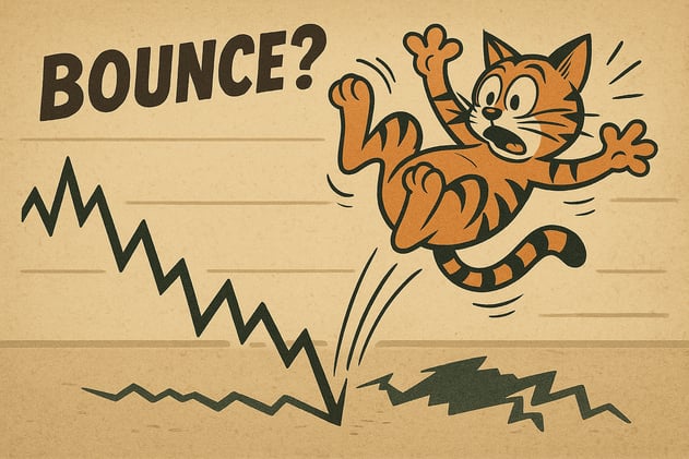 Macro Monday: Bull Market Restart or Dead Cat Bounce?