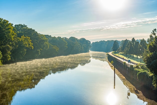 🧣 Greenville’s January Sweet Spot: Easy Winter Plans