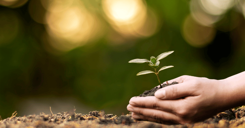 It's time to focus on your growth