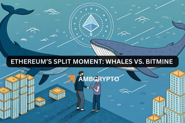 Ethereum’s split moment: Whales vs. Bitmine