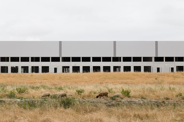 Issue 26: THE DETERMINED SELF