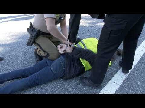 Activism, Uncensored: Climate Protesters Block Traffic in the Capital 