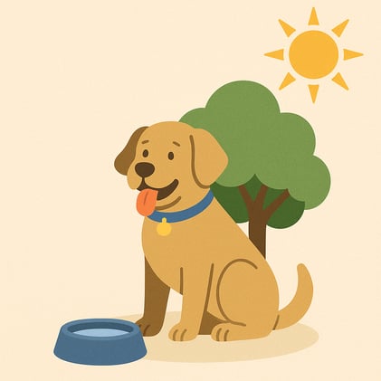 How to Keep Your Dog Safe in the Summer Heat