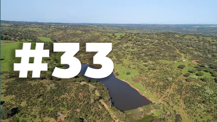 Greenster Newsletter #33