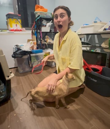 The Cats Out of The Bag