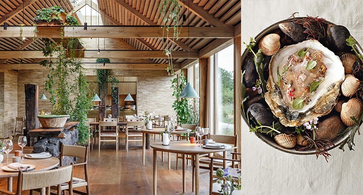 World’s #1 Restaurant Shuts Down, and Re-Emerges in the Grocery Store Pantry Aisle