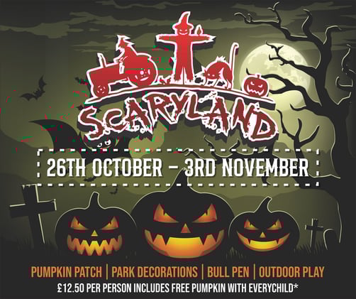 October 31 - E-fit image from Boardmasters sexual assault