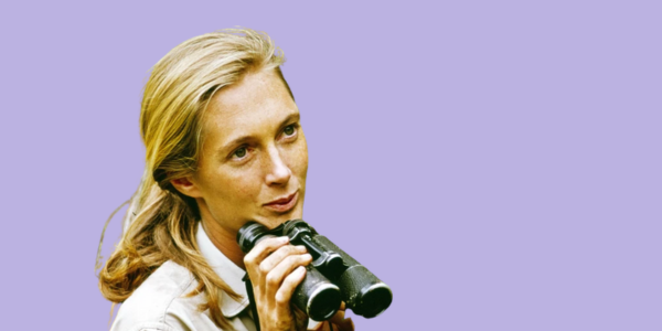 Real-life resilience - Jane Goodall