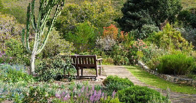 Things get festive at the Fernkloof Flower Show and we look into the Lampshade Studio 💐