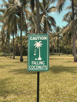 🐟 A Doorbell for Fish | Bulletin #150