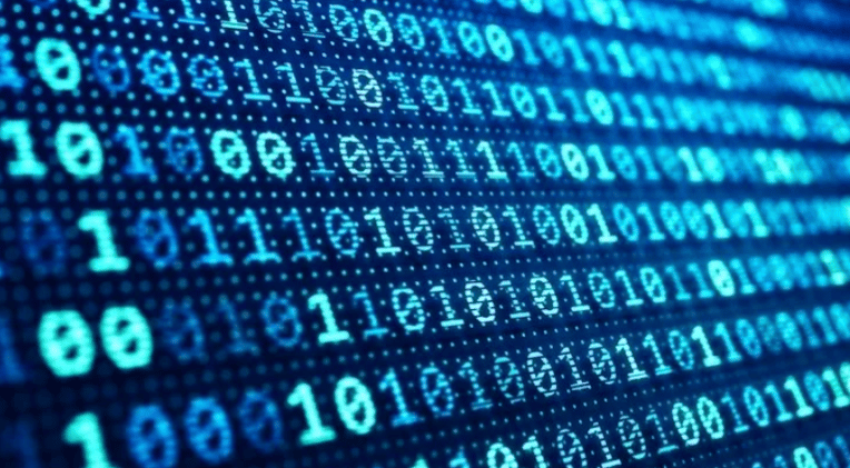 Information Technology - Software and Programming