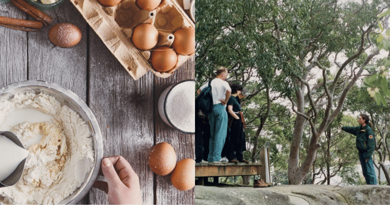 Affordable School Holiday Activities on the North Shore