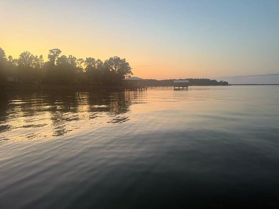 We Don't Control The Timeline 