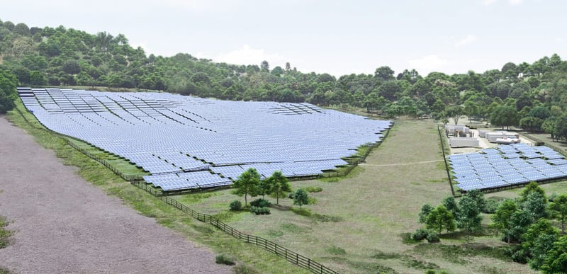 Newsport Alert Thursday 30 January 2025