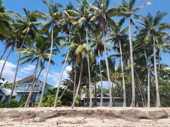 Newsport Alert Tuesday 02 December 2025