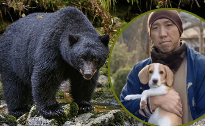 Hero Beagle Saves Monk from Bear Attack, Proving Loyalty Echoes Kindness