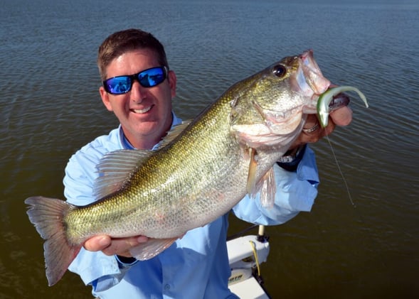 Hot-Weather Bass and Record Gators With iSportsman