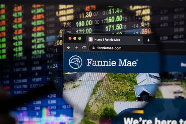 Can Fannie And Freddie Go Public Without Destabilizing the Market?