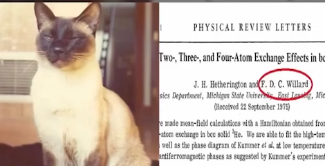 ✍️🐾The Cat Who Rewrote Physics (Literally)
