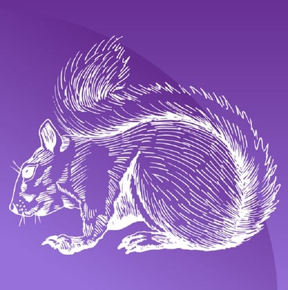 Selling Your Client to Purple Squirrels