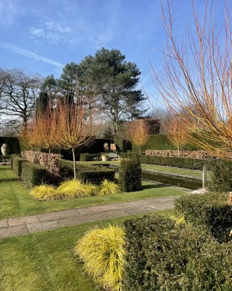 🐝 April Antics & Artisan Adventures