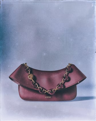 The Loewe Ola Shoulder Bag: A Sculptural Icon of Modern Luxury