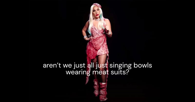 For singing bowls wearing meat suits 🍖