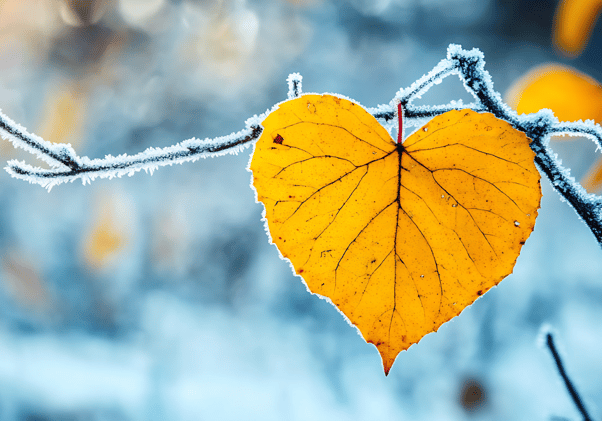 If You Need a Little Gratitude Reset...