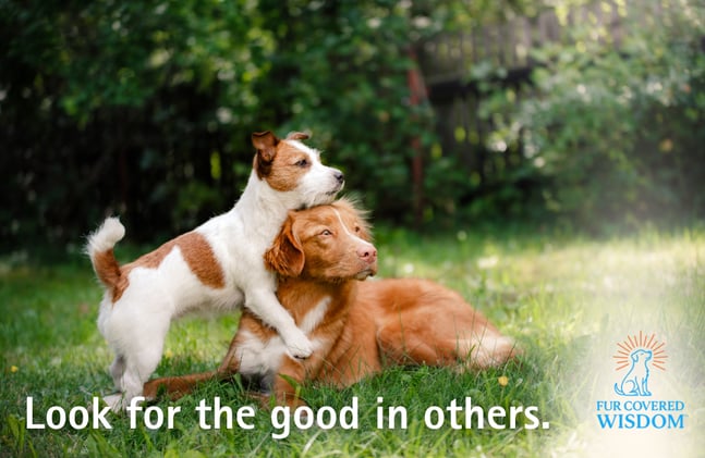 Look for the Good in Others