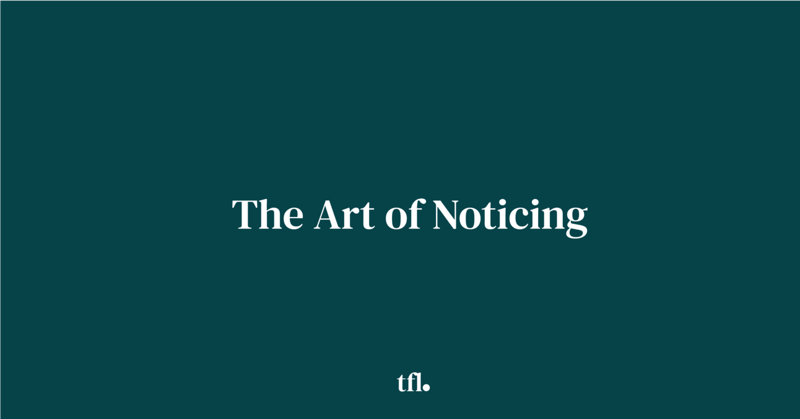 The Art of Noticing