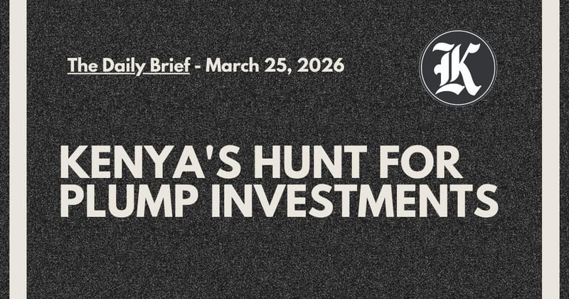 Kenya's Hunt For Plump Investments  