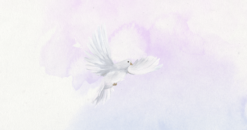🕊️ The Power of Letting Go  