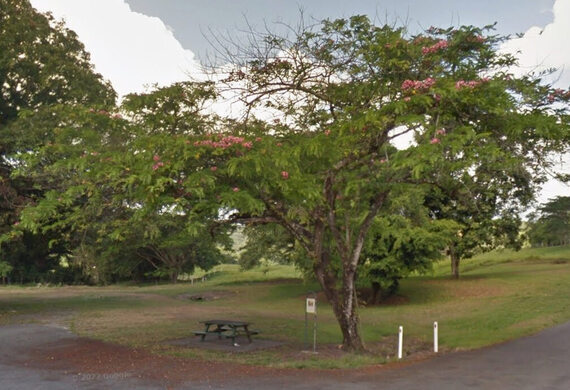 Newsport Alert Tuesday 18 March 2025