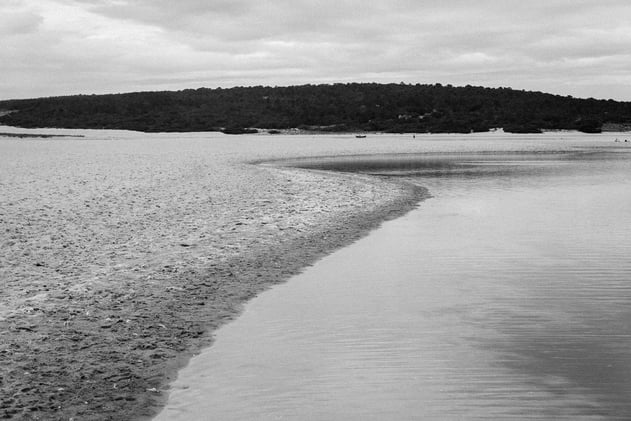 Issue 2: Echoes in Stillness