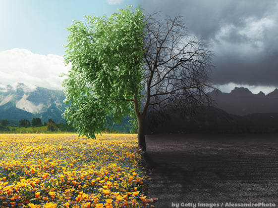 E se o "mal" for só a parte sua que ainda não viu a luz?