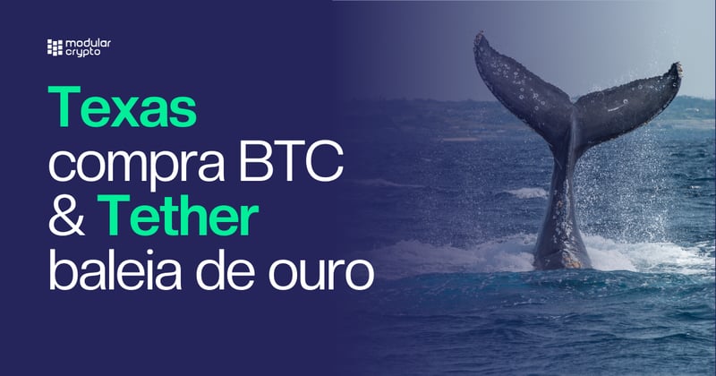 🔲 Texas compra BTC & Tether baleia de ouro