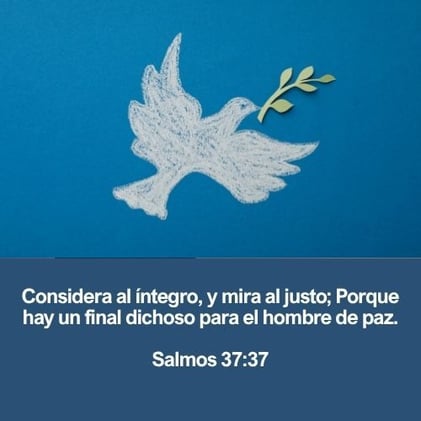 Caminando en Integridad