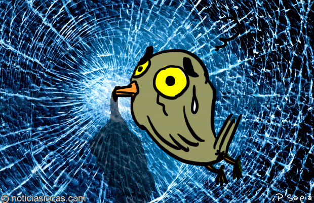Aves desorientadas chocan contra rascacielos en Londres