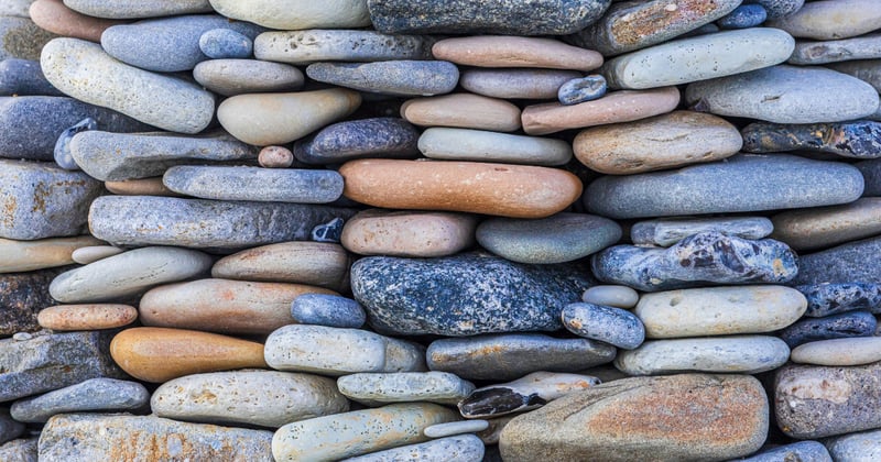 The Case For Building Trust in 2026