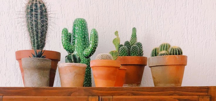 5 Ways to Advocate for Yourself During a Pain Flare-Up 🤜 🤛  