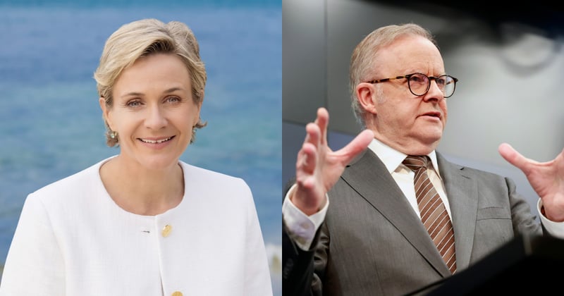 Steggall, Scamps back federal royal commission into Bondi terror attack