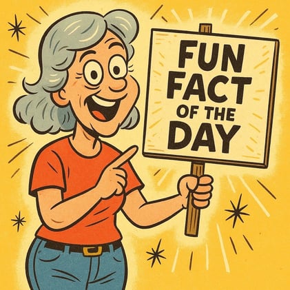 Clean White Tennis Shoes, Acrylic Paint on Carpet & Low Light Houseplants