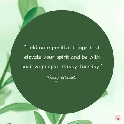 🌞 Day 6: The Compliment Cascade + Tuesday Vitality Reset